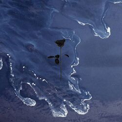 Lantern