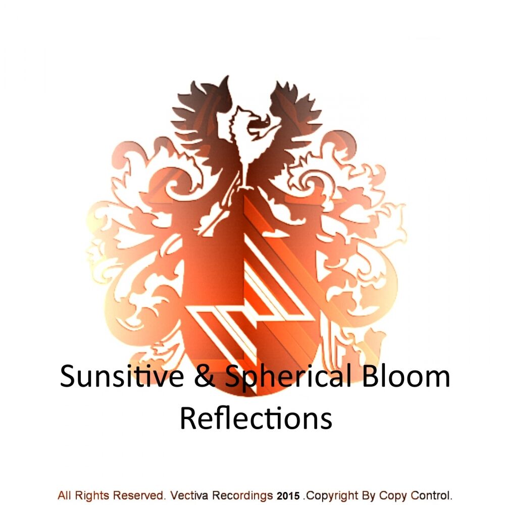 Picture of Reflections