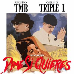 Cover of Dime Si Quieres