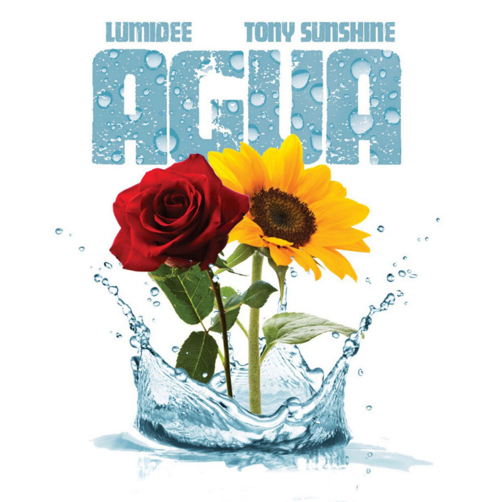 Picture of Agua