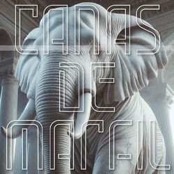 Cover of Canas de Marfil