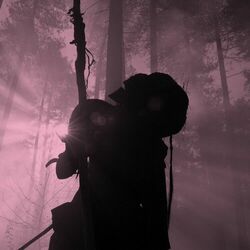 Cover of Rōnin II (Instrumentals)