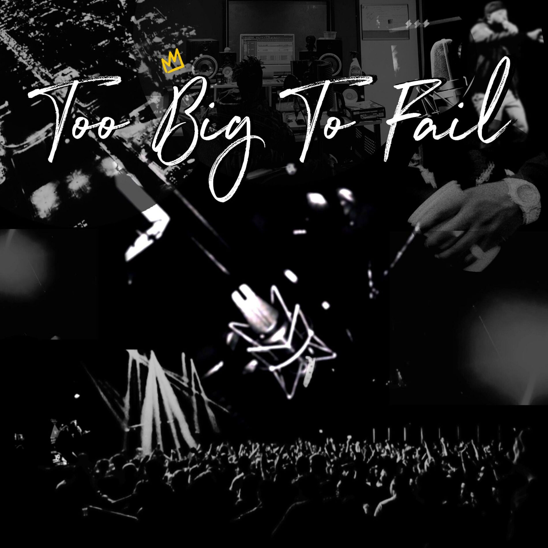 Album cover of Too Big To Fail