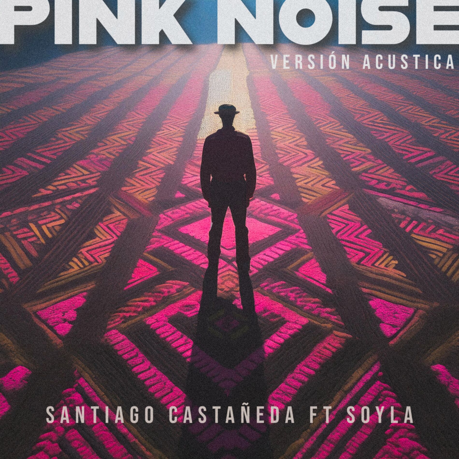 Album cover of Pink Noise (Versión Acústica)