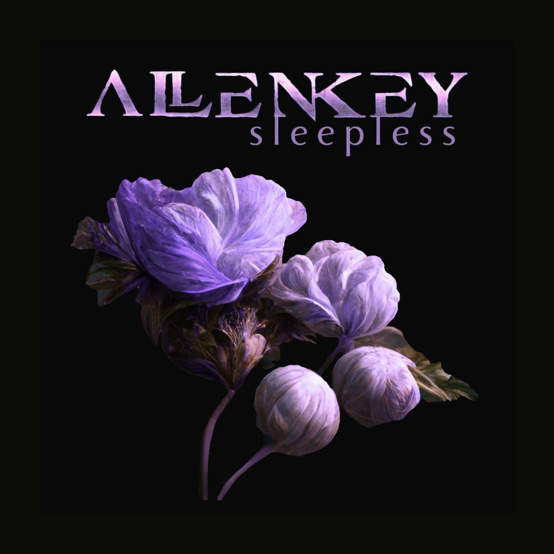 Album cover of Sleepless
