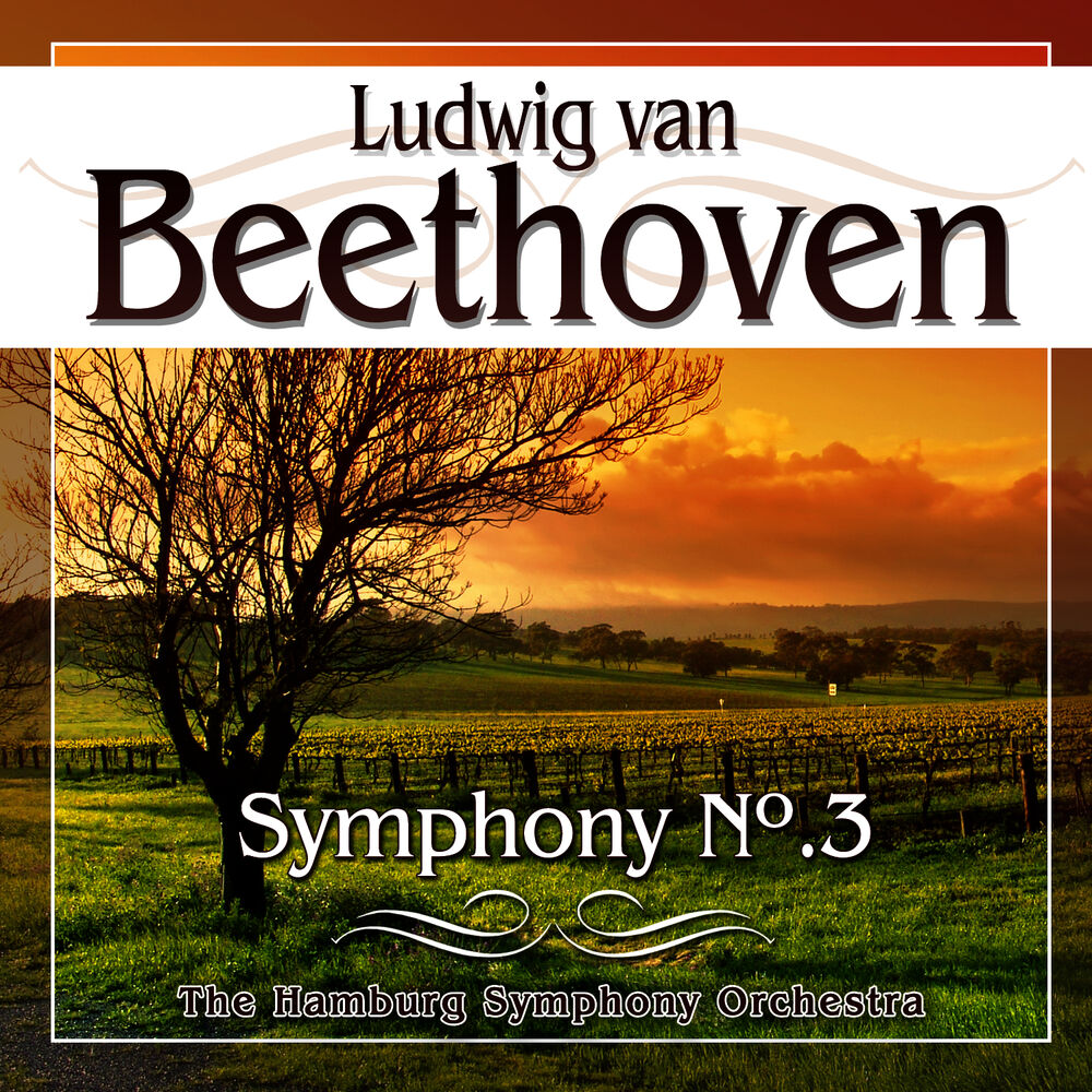 Picture of Beethoven. Symphony No.3