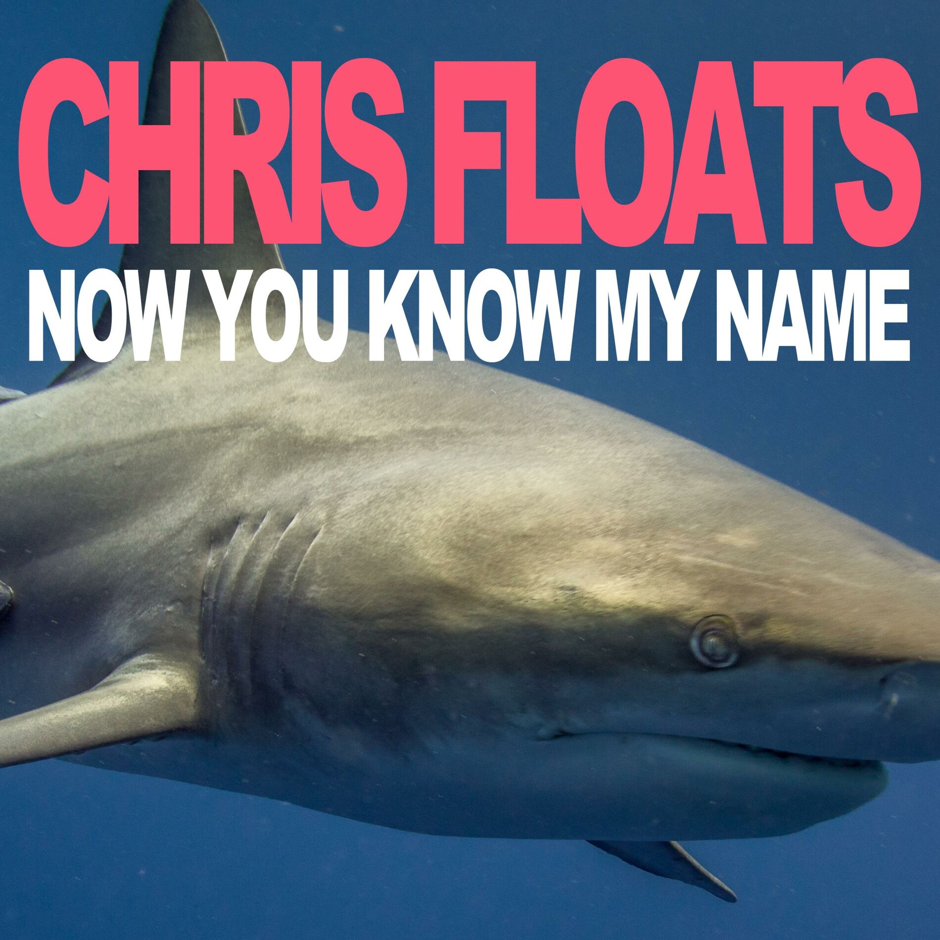 Album cover of Now You Know My Name