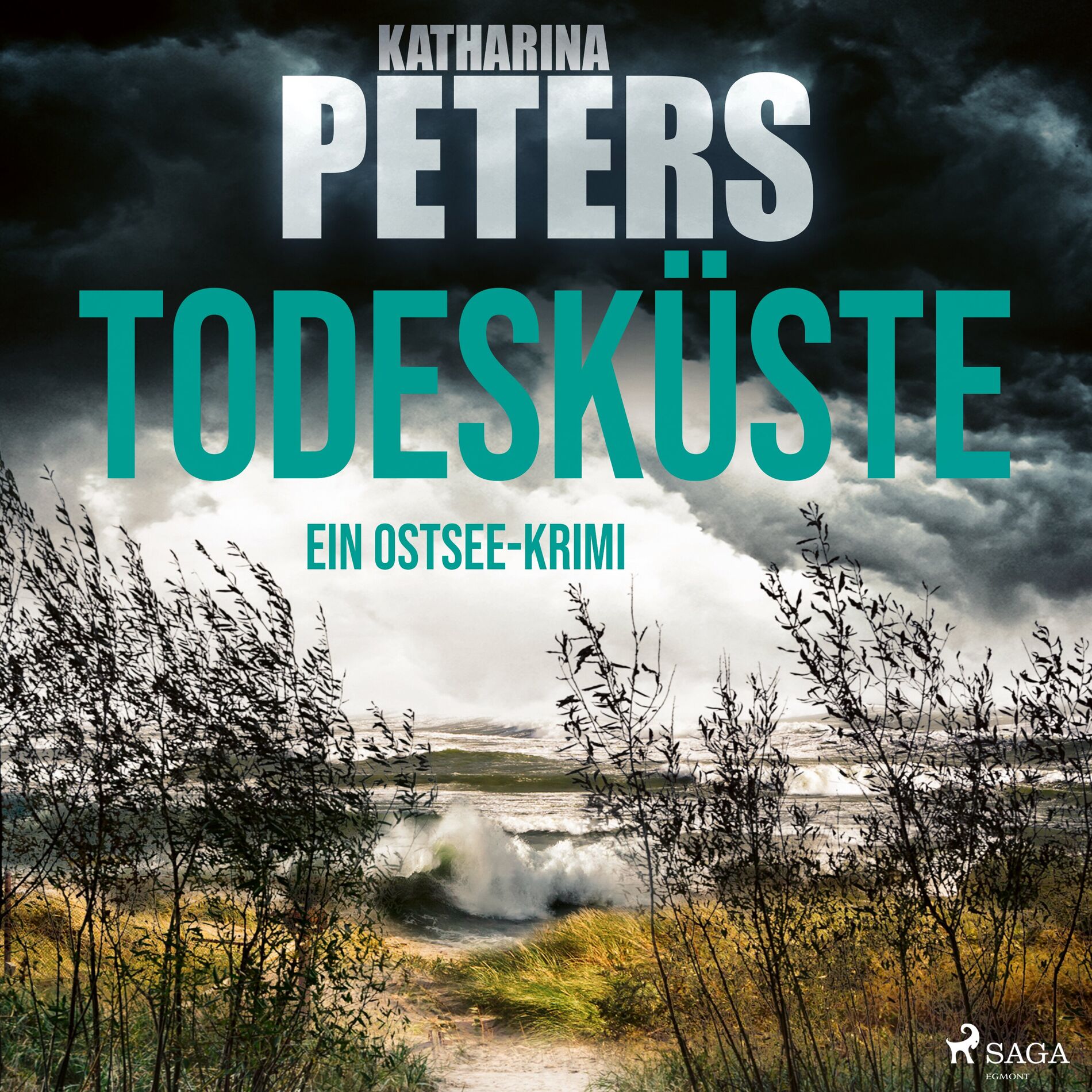 Album cover of Kapitel 1.1 - Todesküste (Emma Klar ermittelt 8)