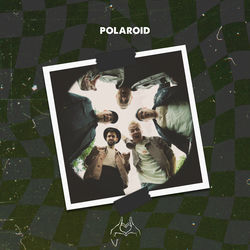 Polaroid
