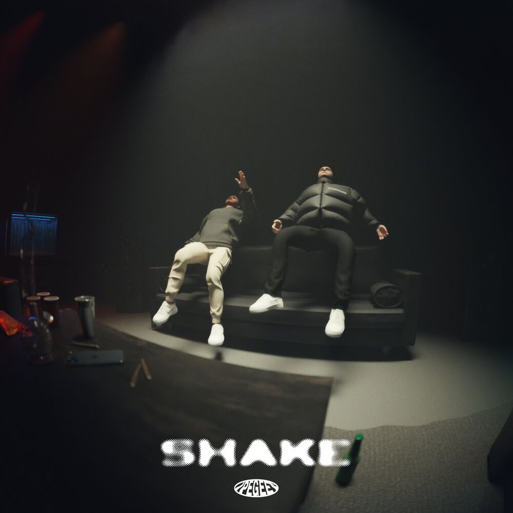 Picture of SHAKE