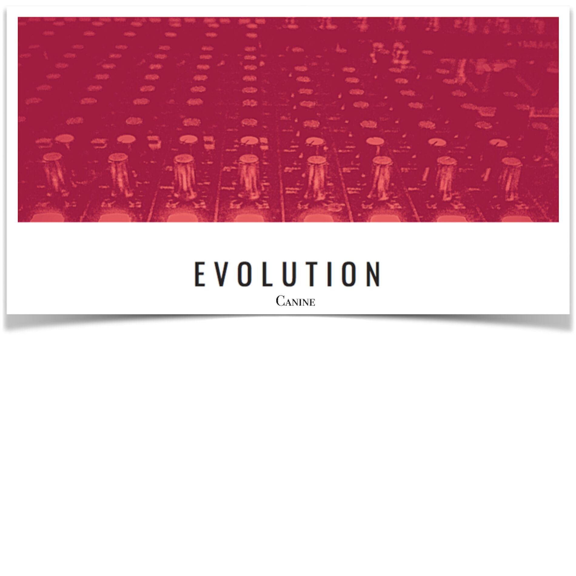 Album cover of EVOLUTION