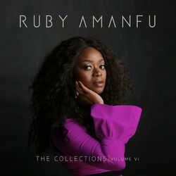 Cover of The Collections Volume VI