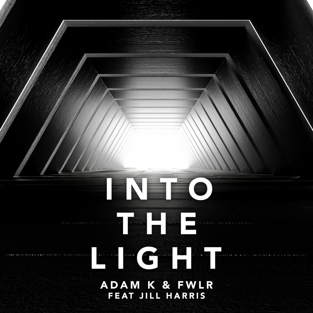 Picture of Into The Light