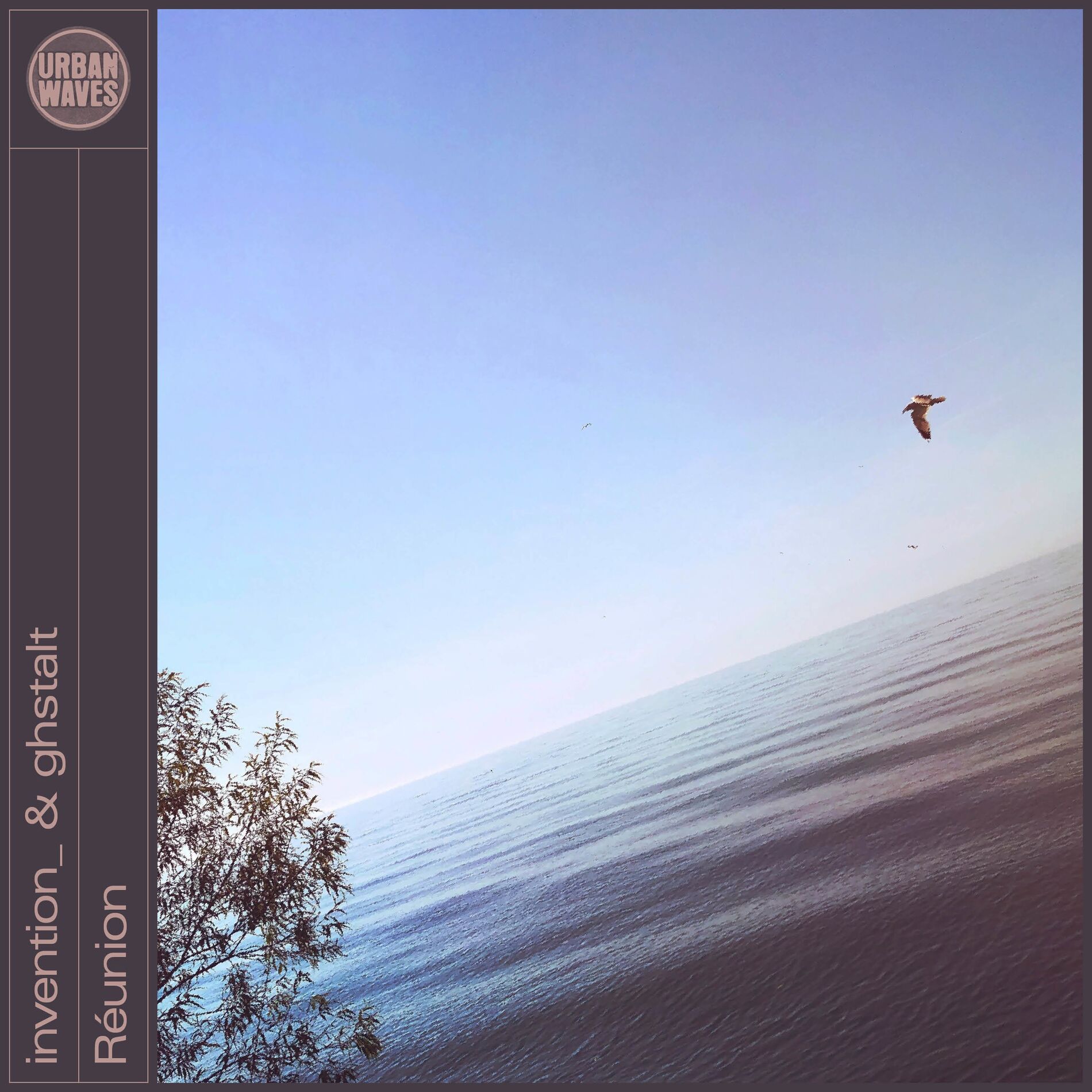 Album cover of Réunion