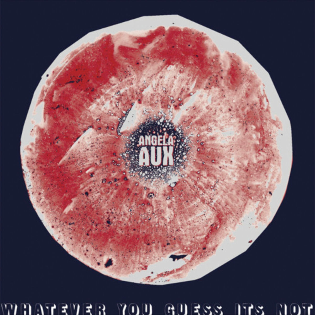 Album cover of Whatever You Guess It Is