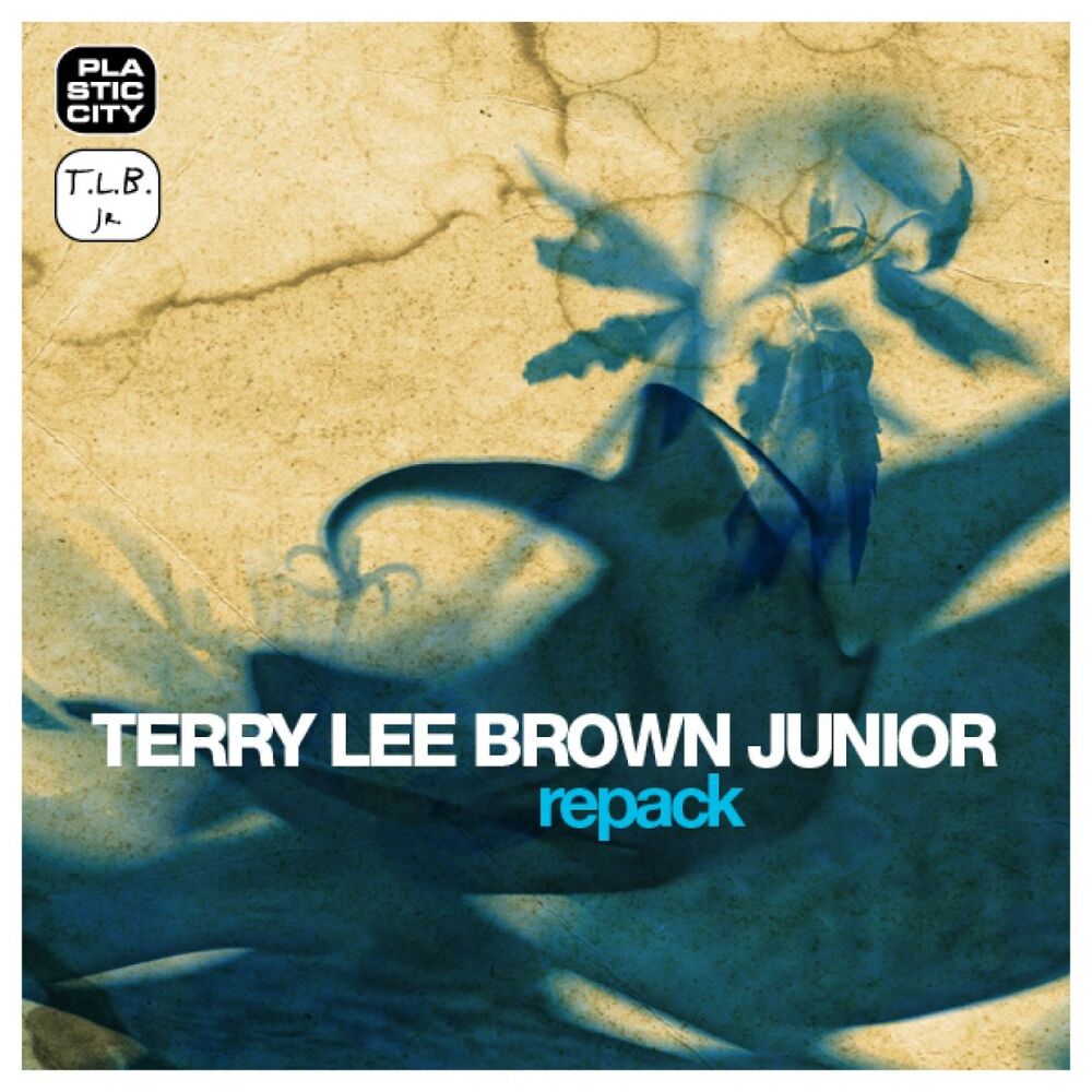 Picture of Terry Lee Brown Junior - Repack (MP3 Compilation)