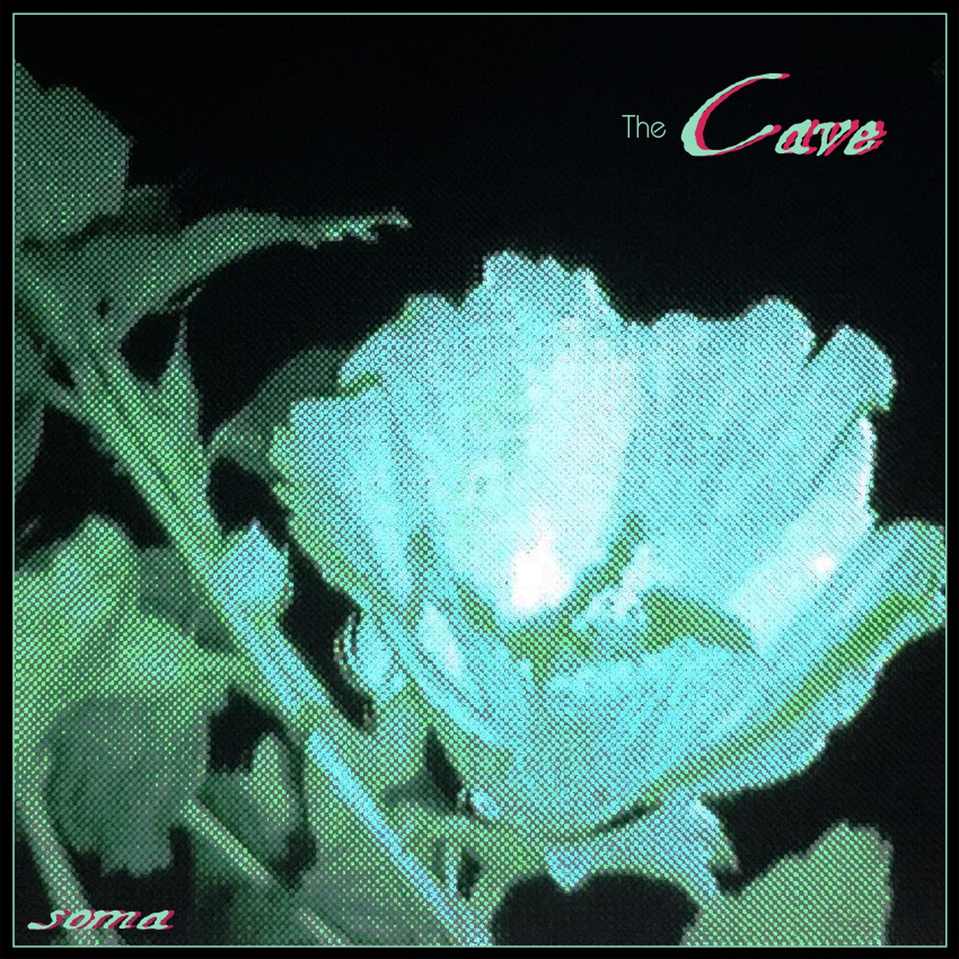 Album cover of The Cave