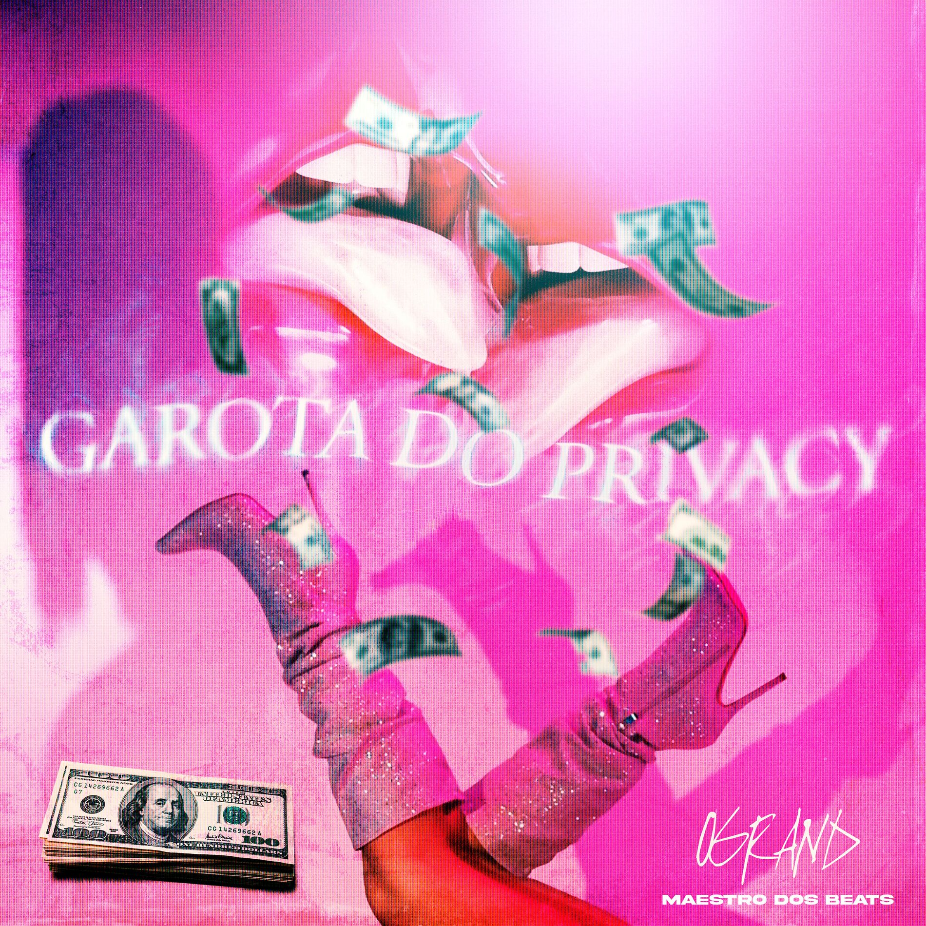 Album cover of Garota do Privacy (feat. Ogrand)
