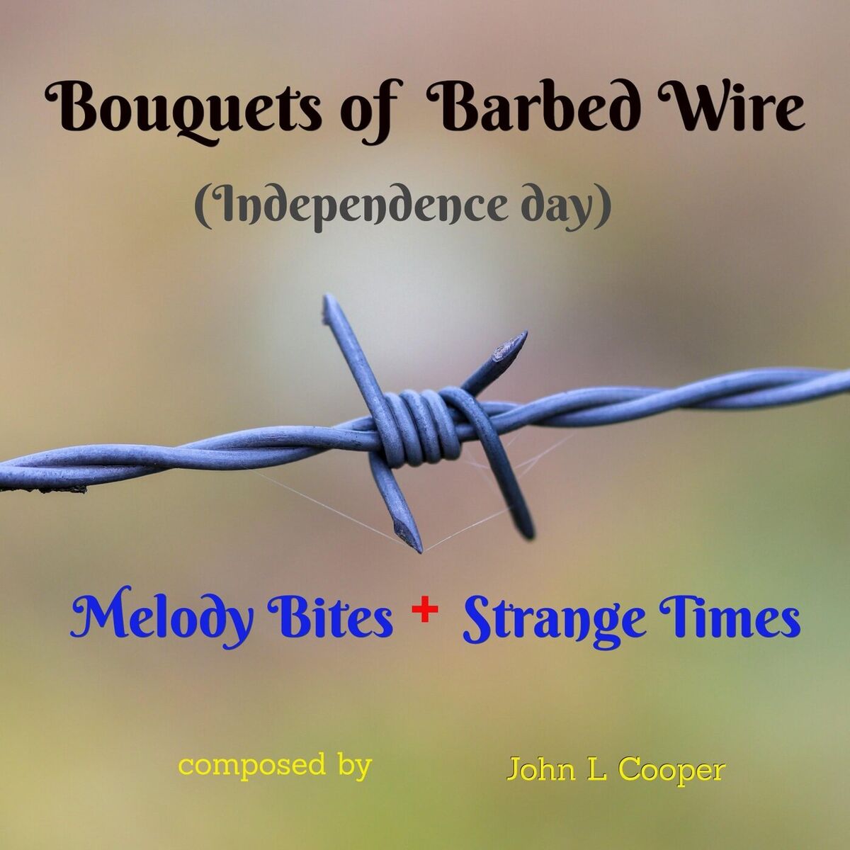 Album cover of Bouquets of Barbed Wire (Independence Day)