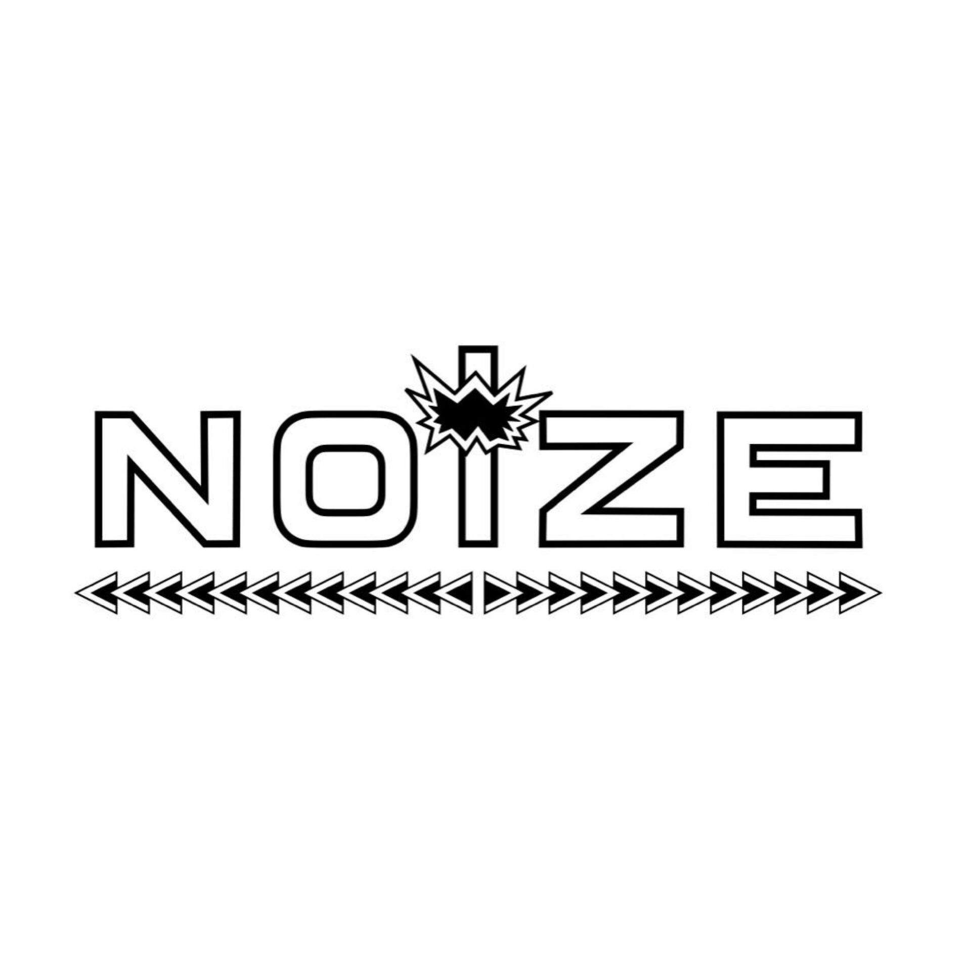 Album cover of Noize