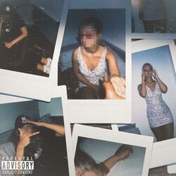 Cover of Fire Fi Dem