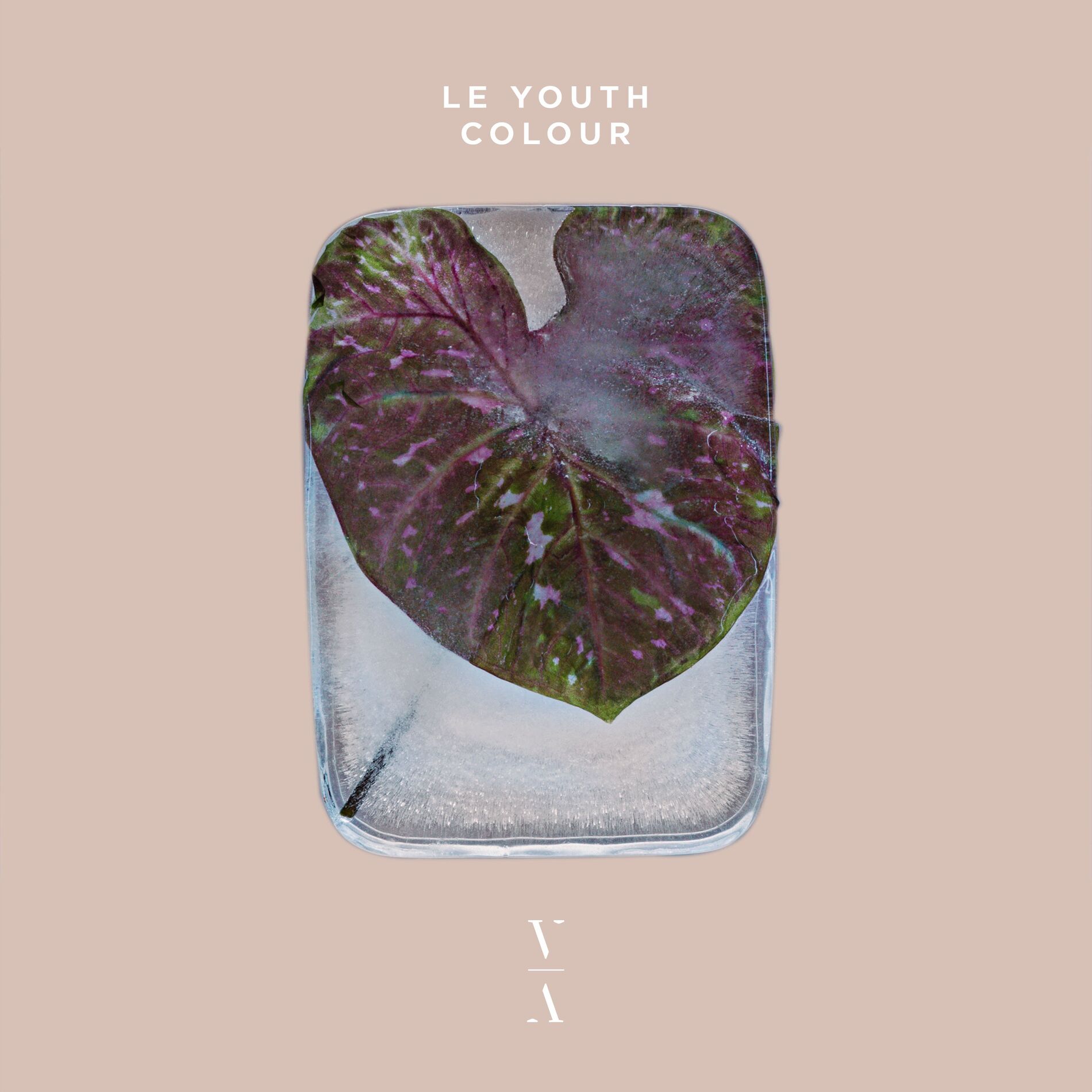 Album cover of Goodbye