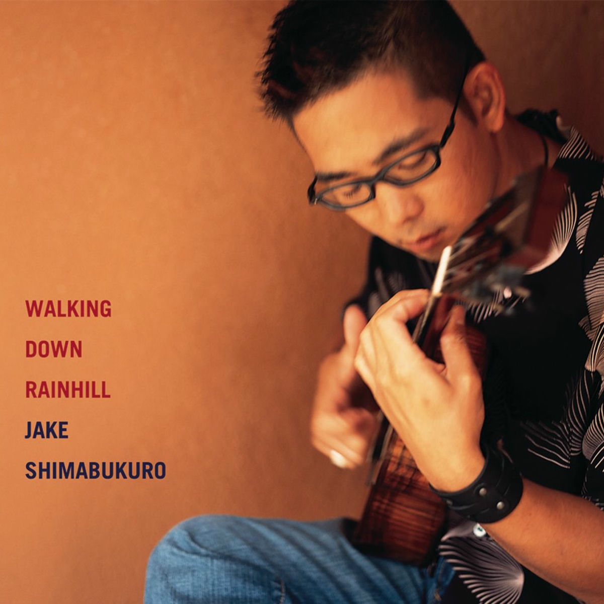 Album cover of Walking Down Rainhill