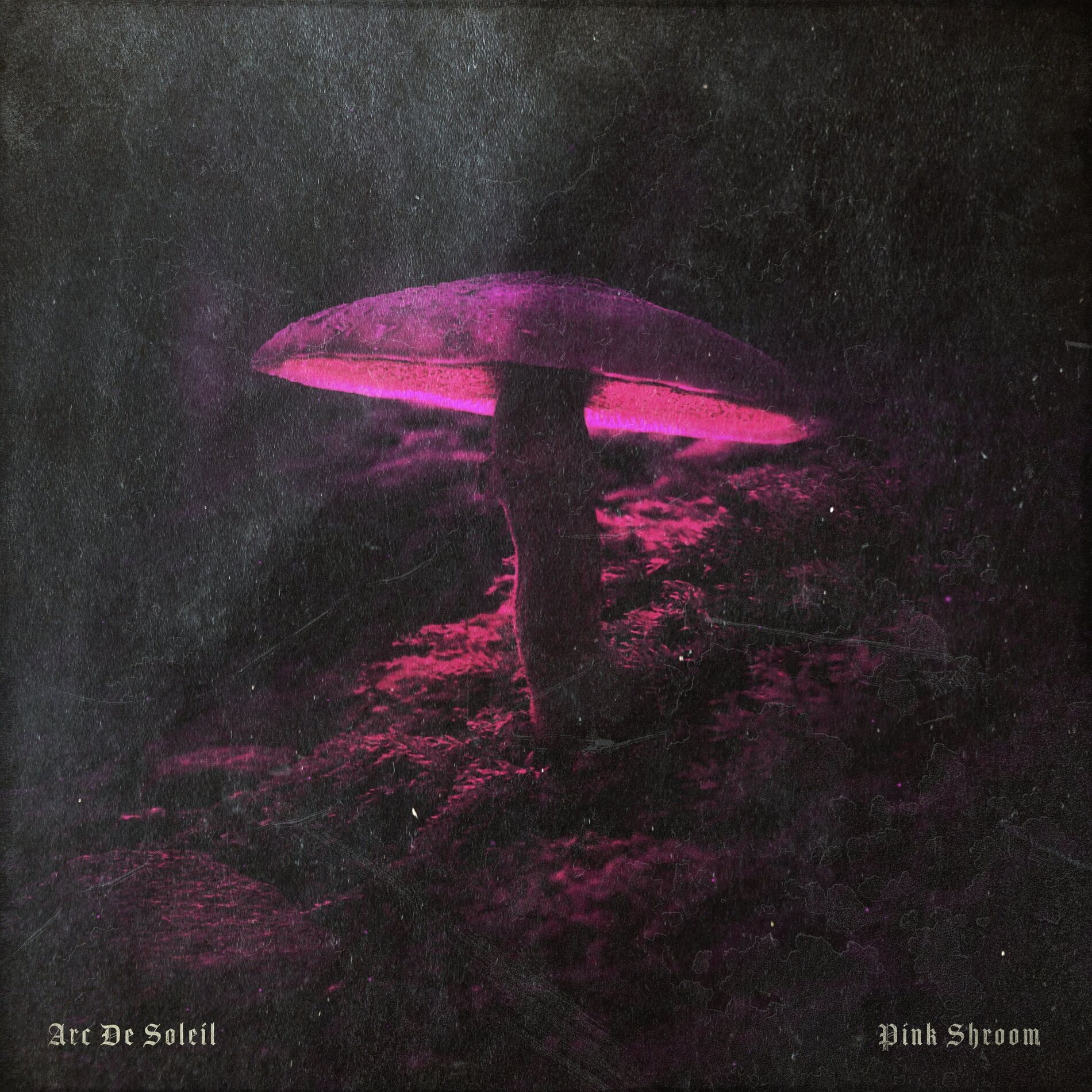 Album cover of Pink Shroom