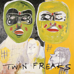 Cover of Twin Freaks