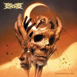 Cover of Shadows in Time