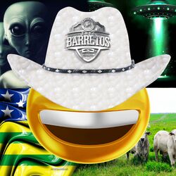 Cover of CHAPA QUENTE
