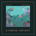 A Marine Harvest
