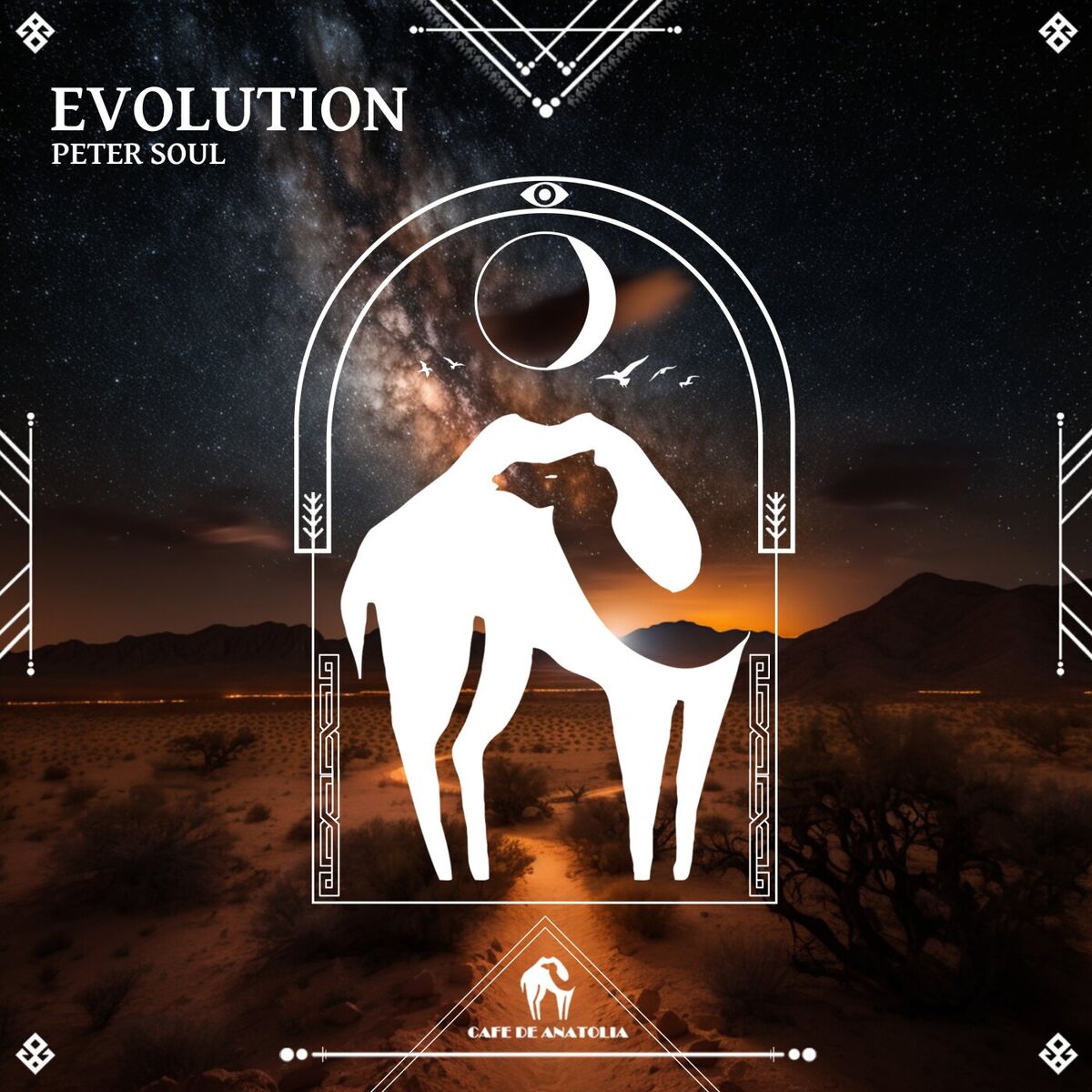 Album cover of Evolution
