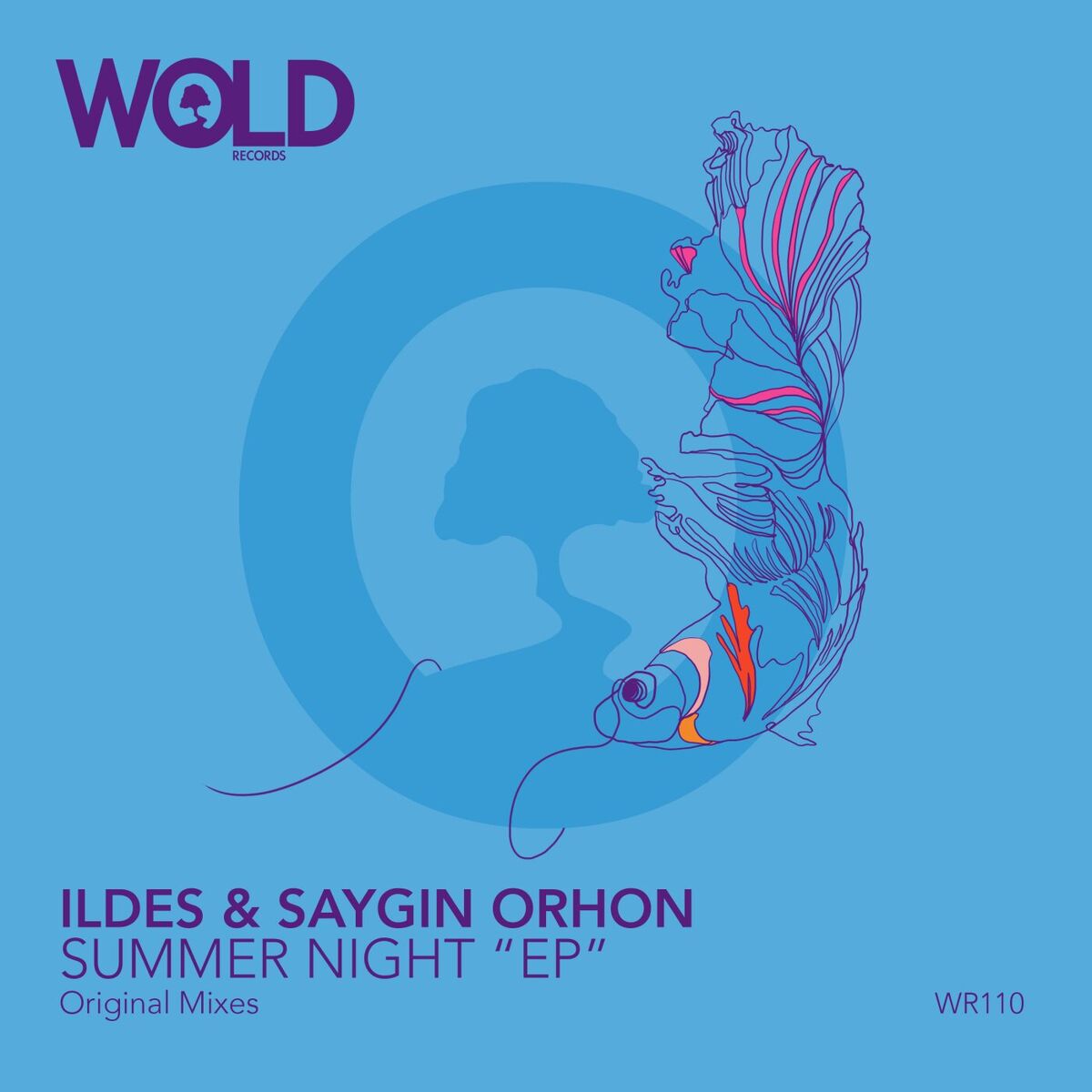 Album cover of Summer Night