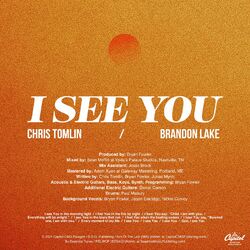 Cover of I See You