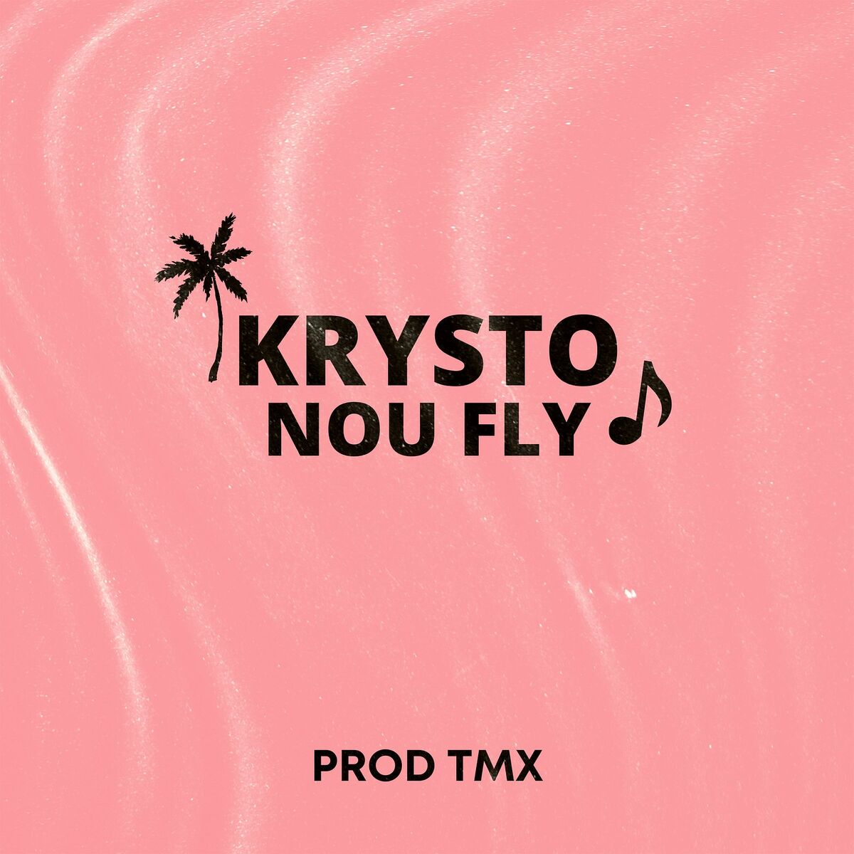Album cover of Nou Fly