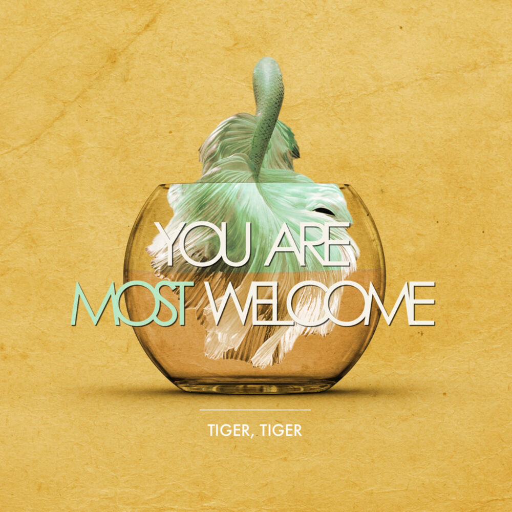 Picture of You Are Most Welcome