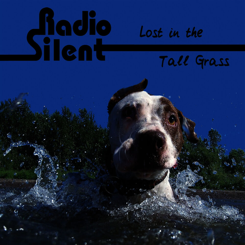 Picture of Lost in the Tall Grass