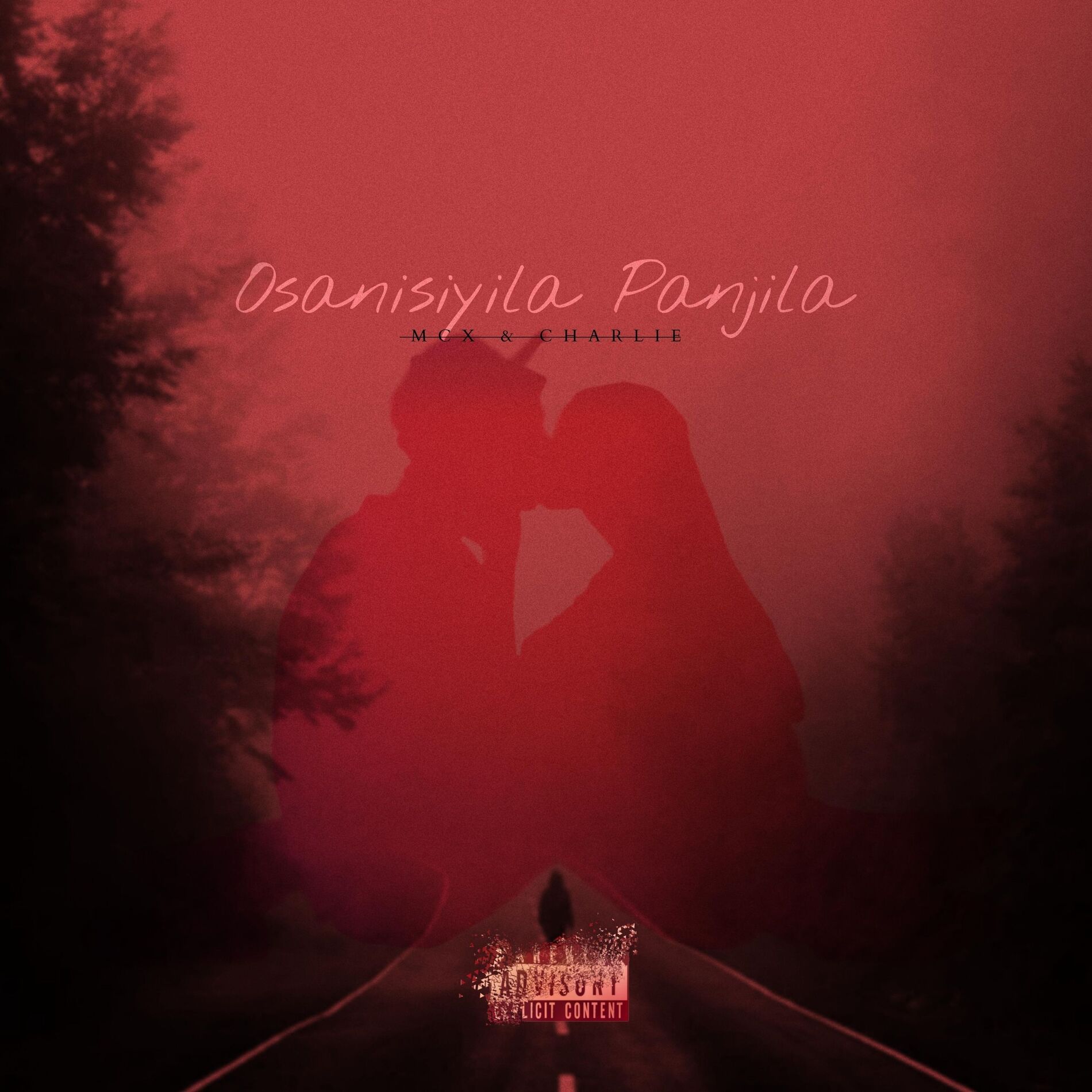 Album cover of Osanisiyila Panjila