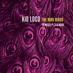 The Rare Birds Remixes, Pt.3 & More