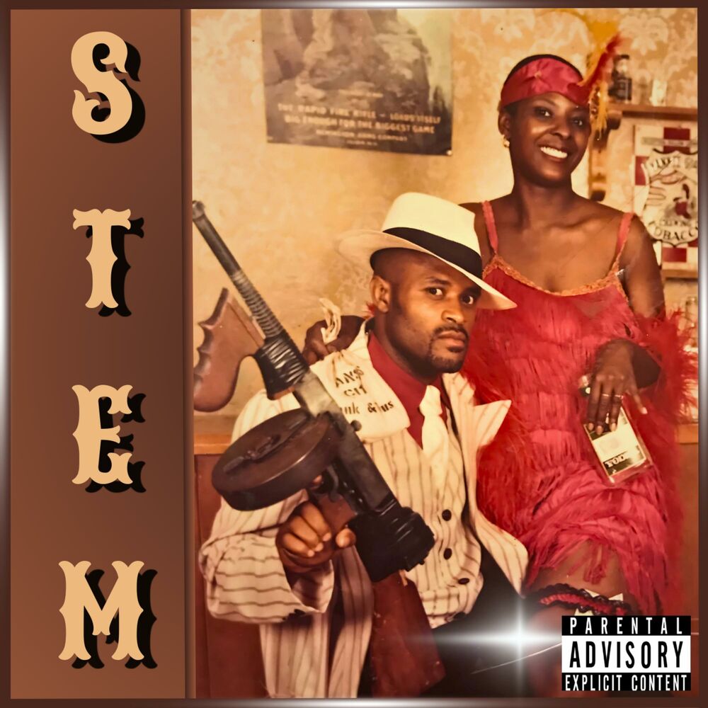 Picture of STEM