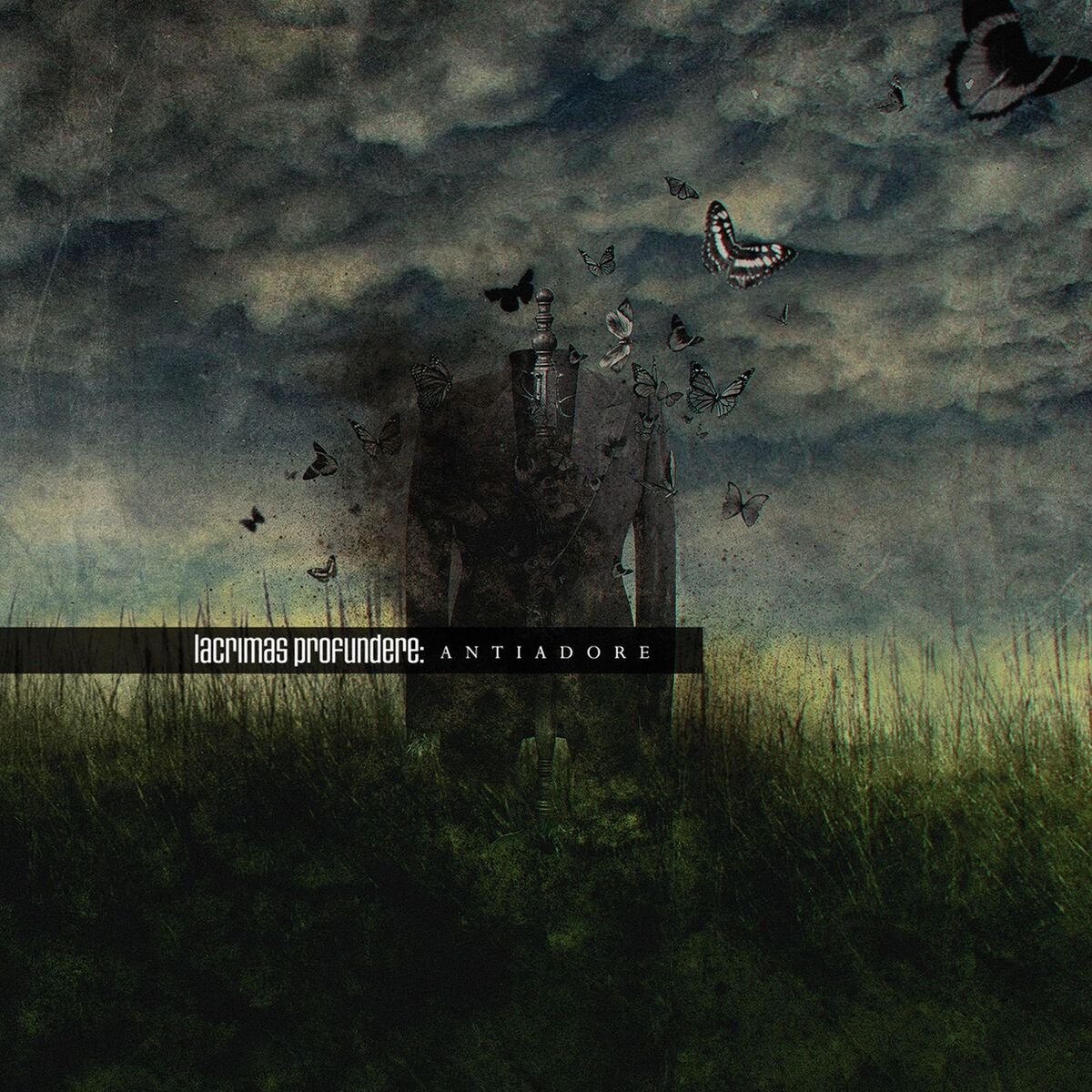Album cover of My Release in Pain