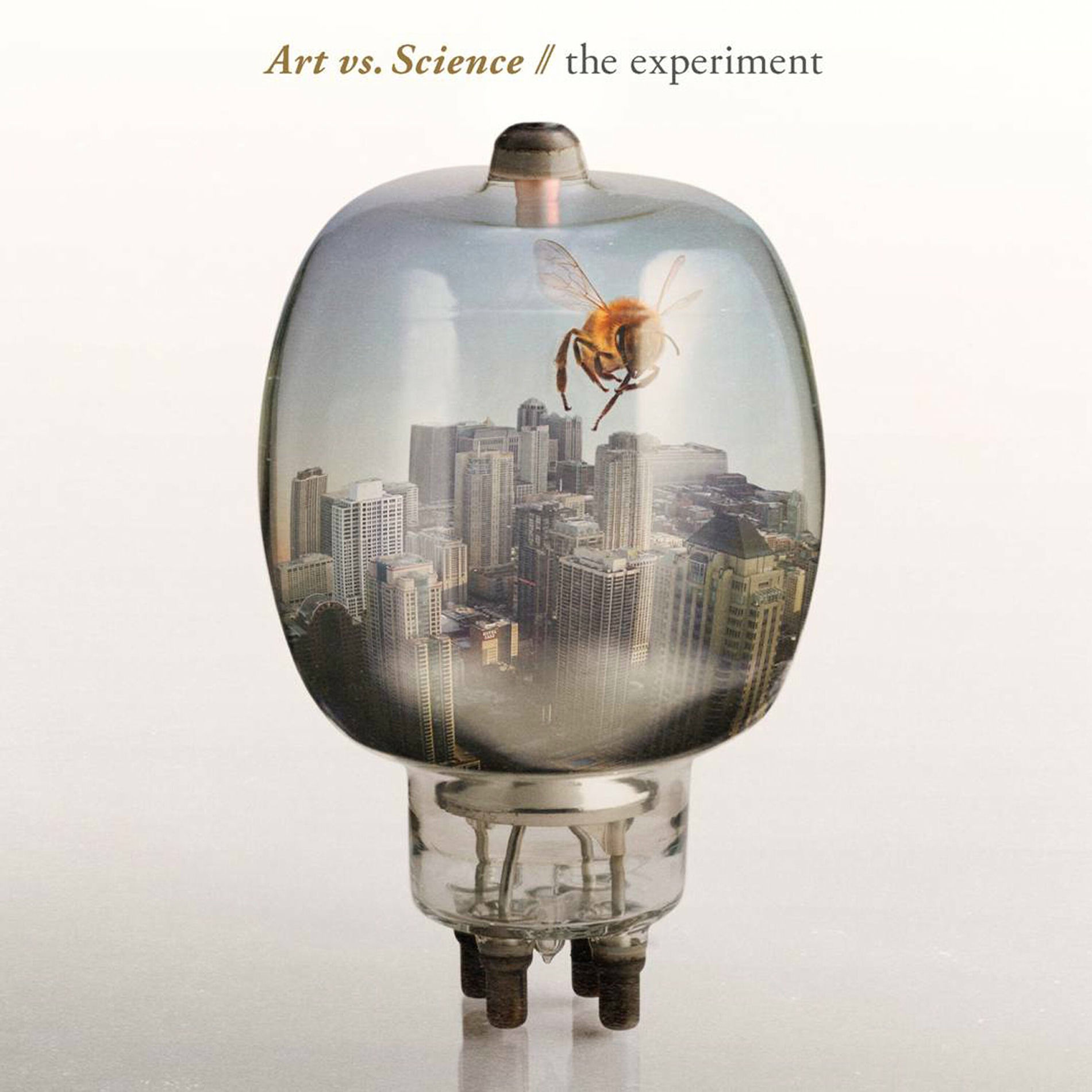 Album cover of The Experiment