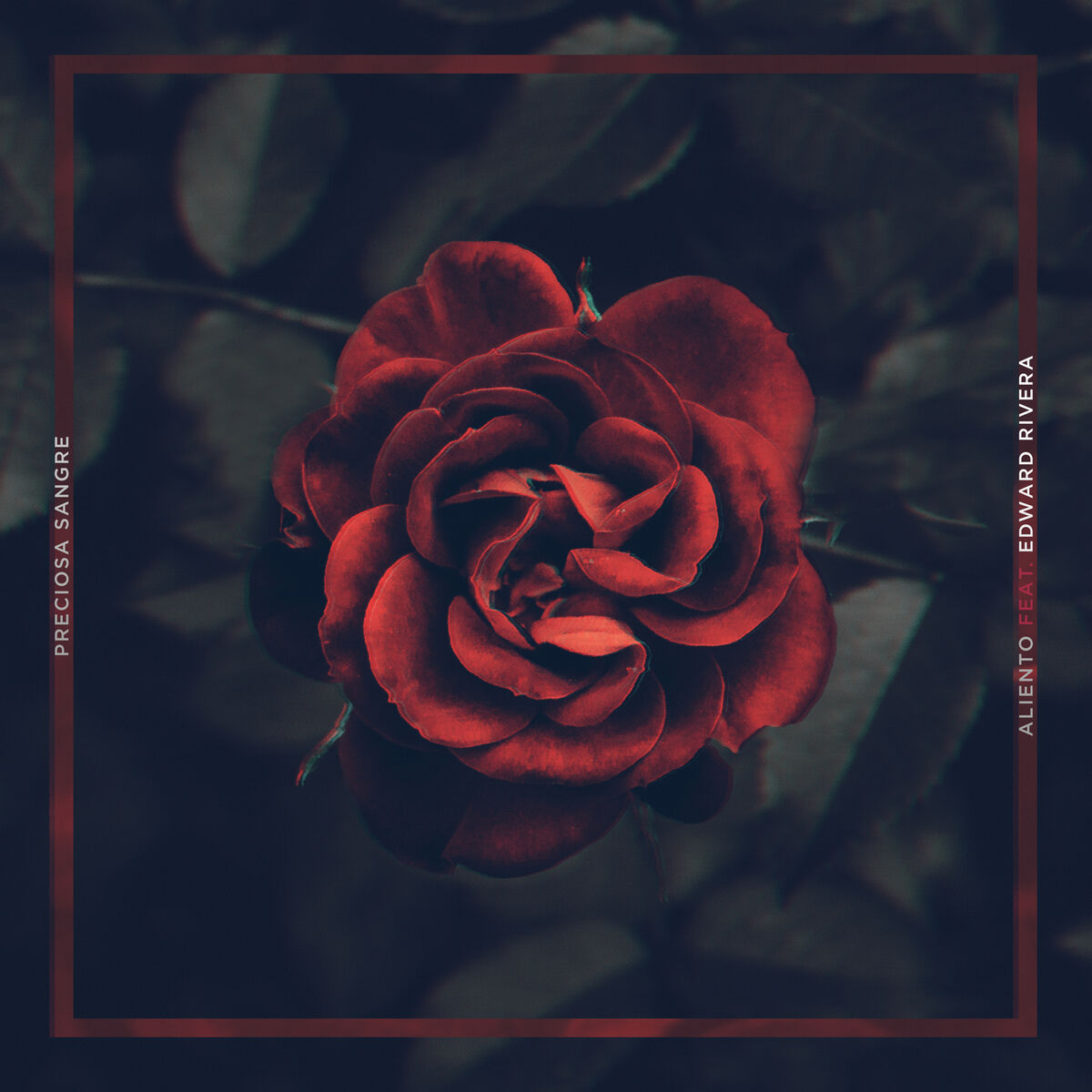 Album cover of Preciosa Sangre