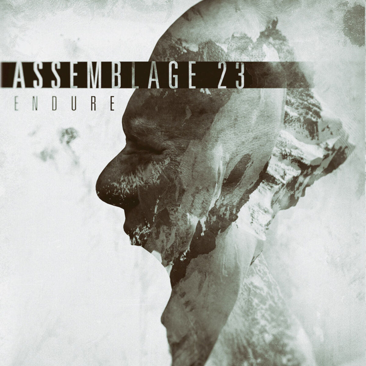 Album cover of Butterfly Effect