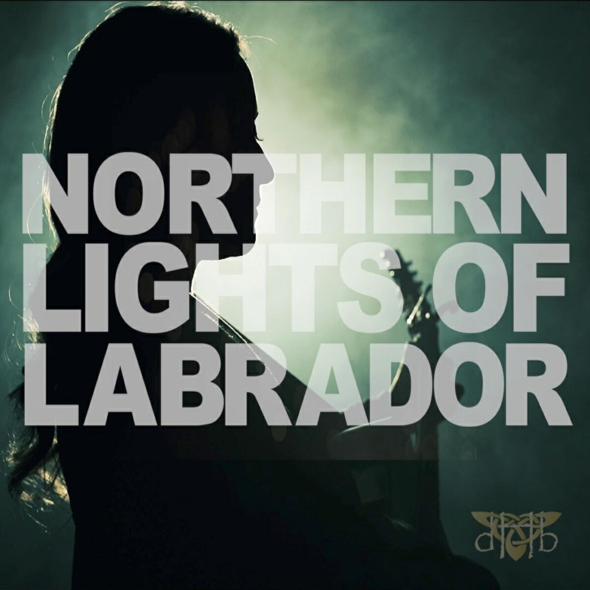 Album cover of Northern Lights of Labrador