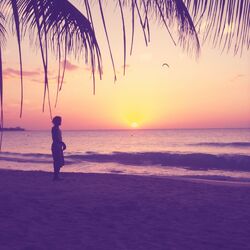 Cover of Music for Snowbirds (Bossanova)