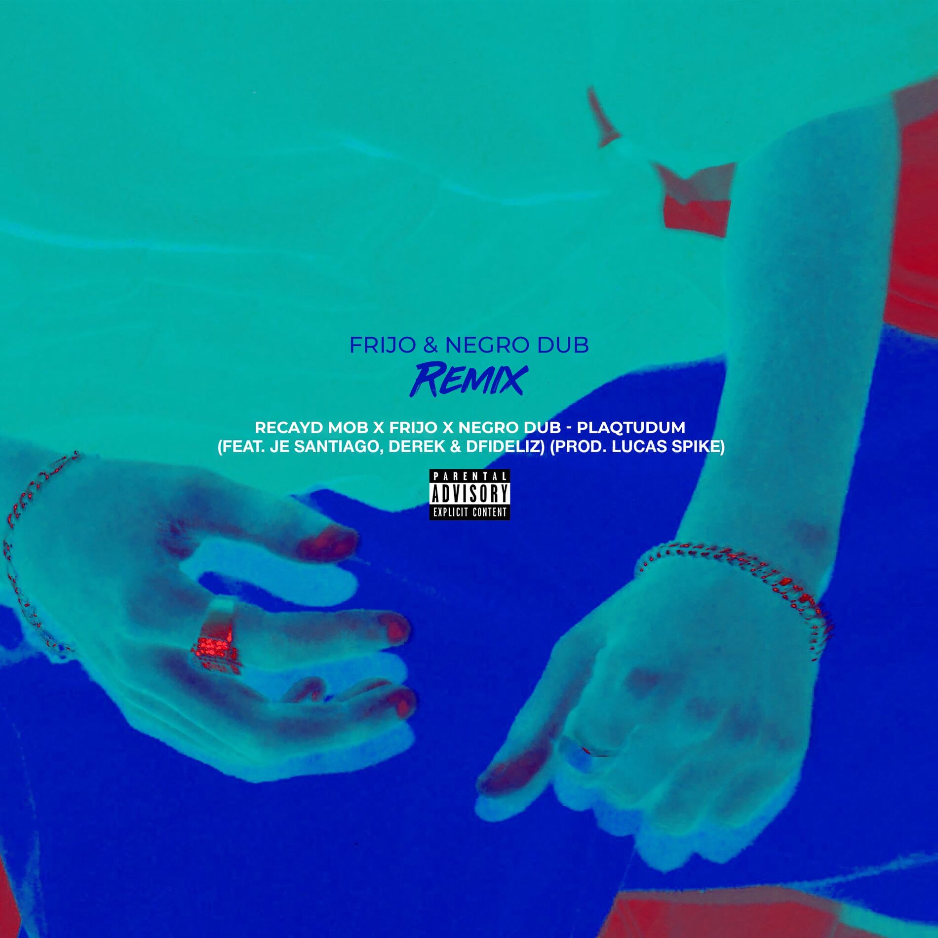 Album cover of Plaqtudum (Frijo & Negro Dub Remix)