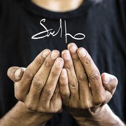 Cover of Suelto