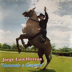 Cover of Homenaje a Gasparin